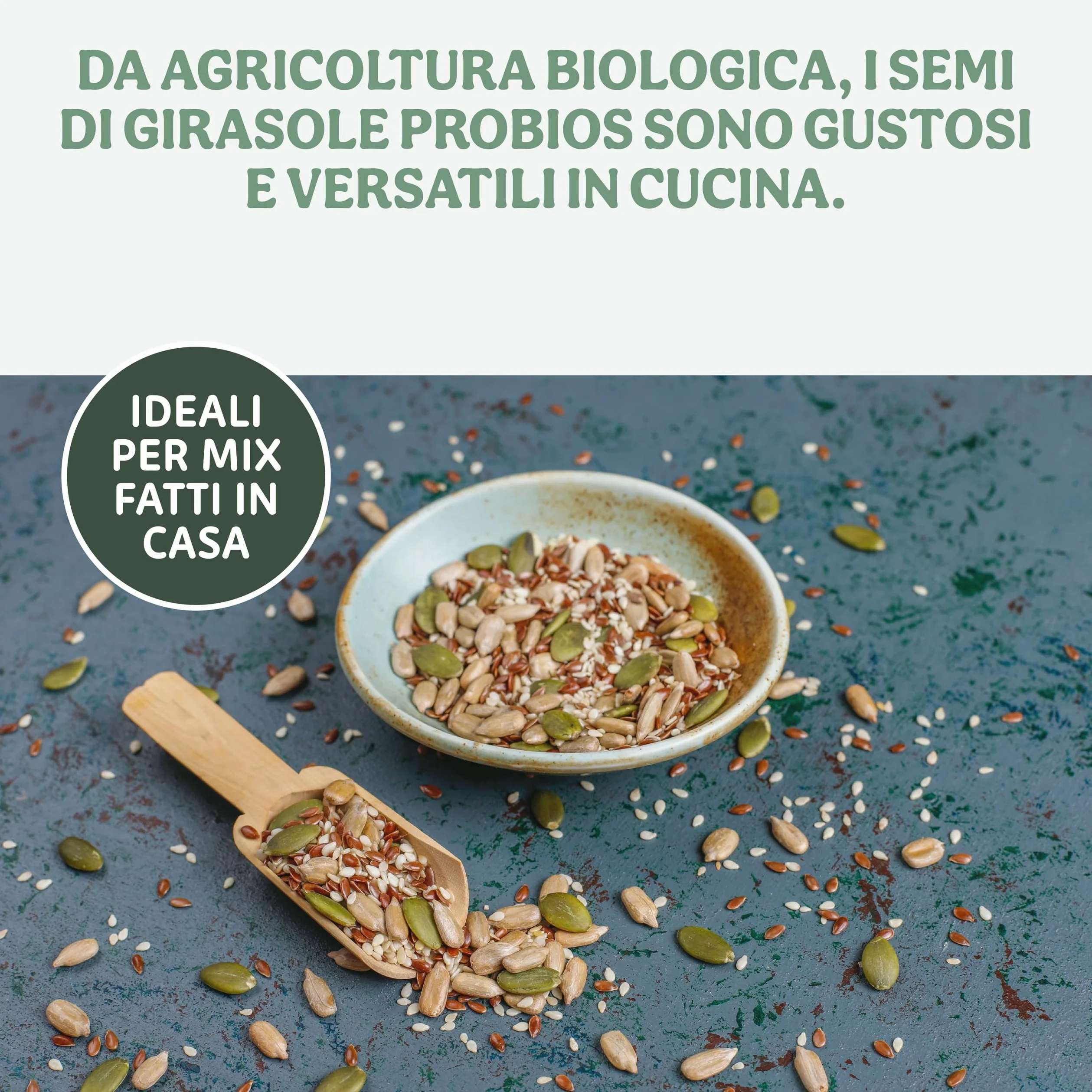 Probios Semi di girasole Biologici - Ricchi di Fibre e Minerali - Semi Girasole Crudi Commestibili - Vegani - Confezione da 5 kg