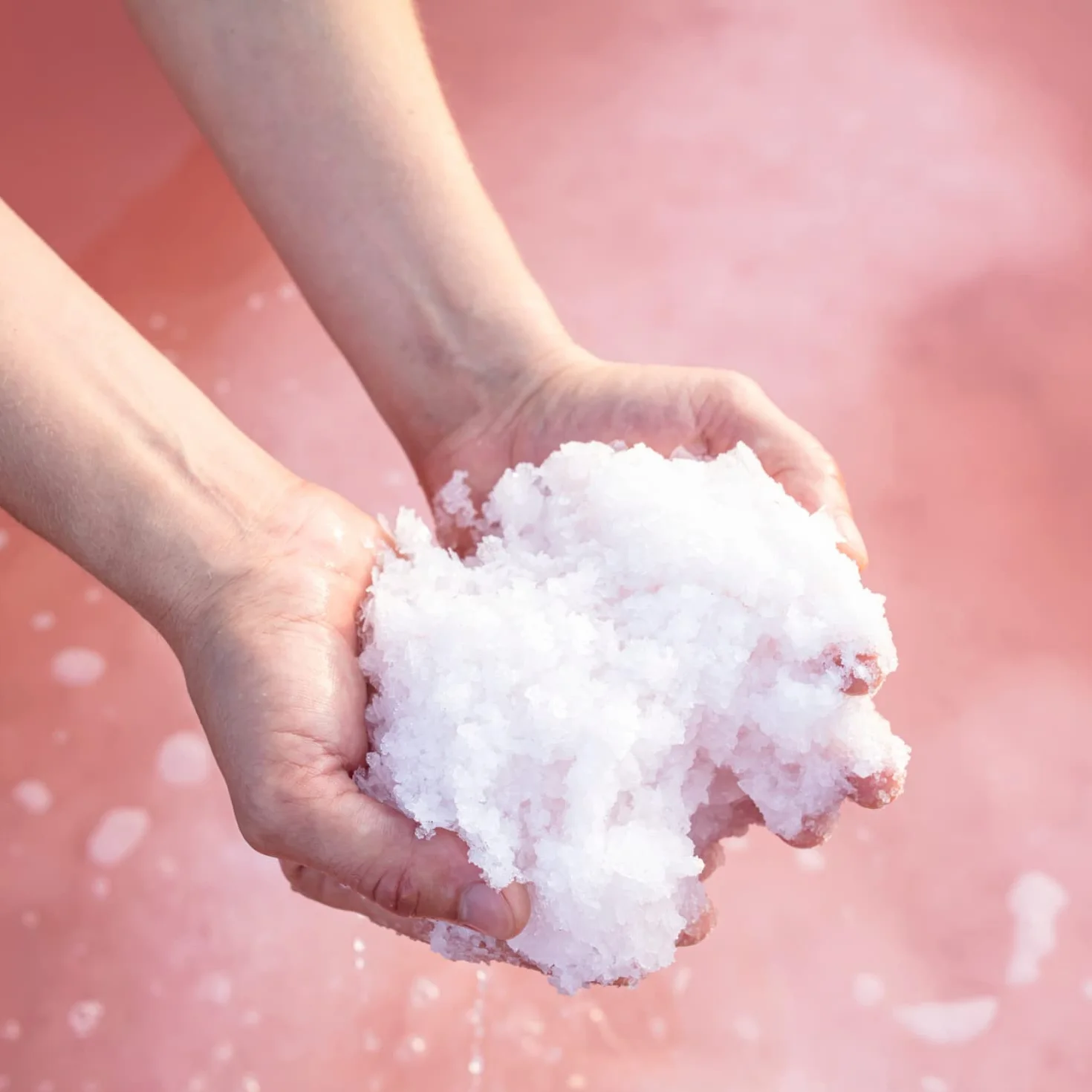 Le Saunier De Camargue Fleur de sel sale marino 1 pacco