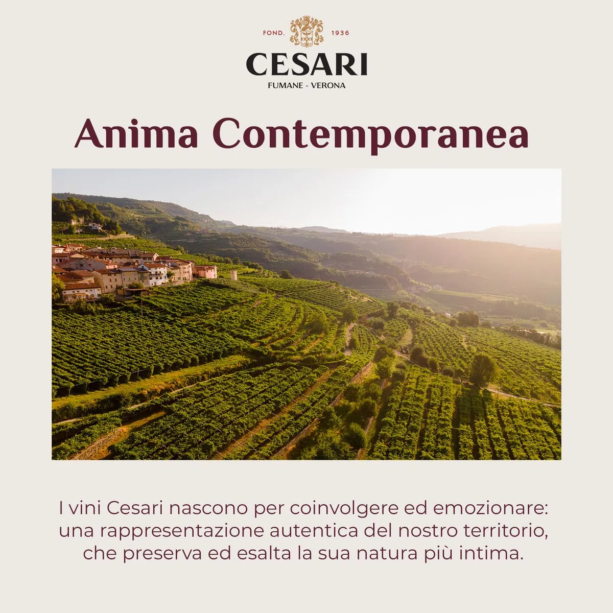 Cesari Custoza DOC - Vino Bianco dai Delicati Profumi di Frutta e Fiori Bianchi, Gusto Pieno e Leggermente Aromatico - 12,5% Vol - Bottiglia da 750 ml