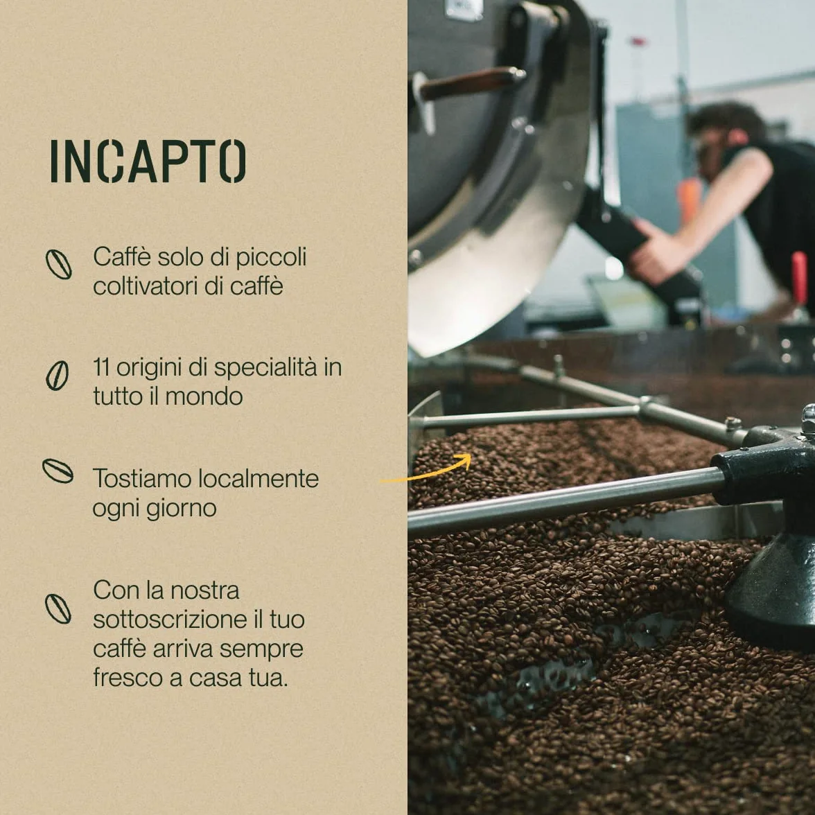 Incapto Caffè in Grani di Specialità 1kg | Origine Colombia | 100% Arabica | +80 punti SCA | Tostatura Naturale e Artigianale | Caffè Grani Naturale | Finca Huila, Cadifihuila