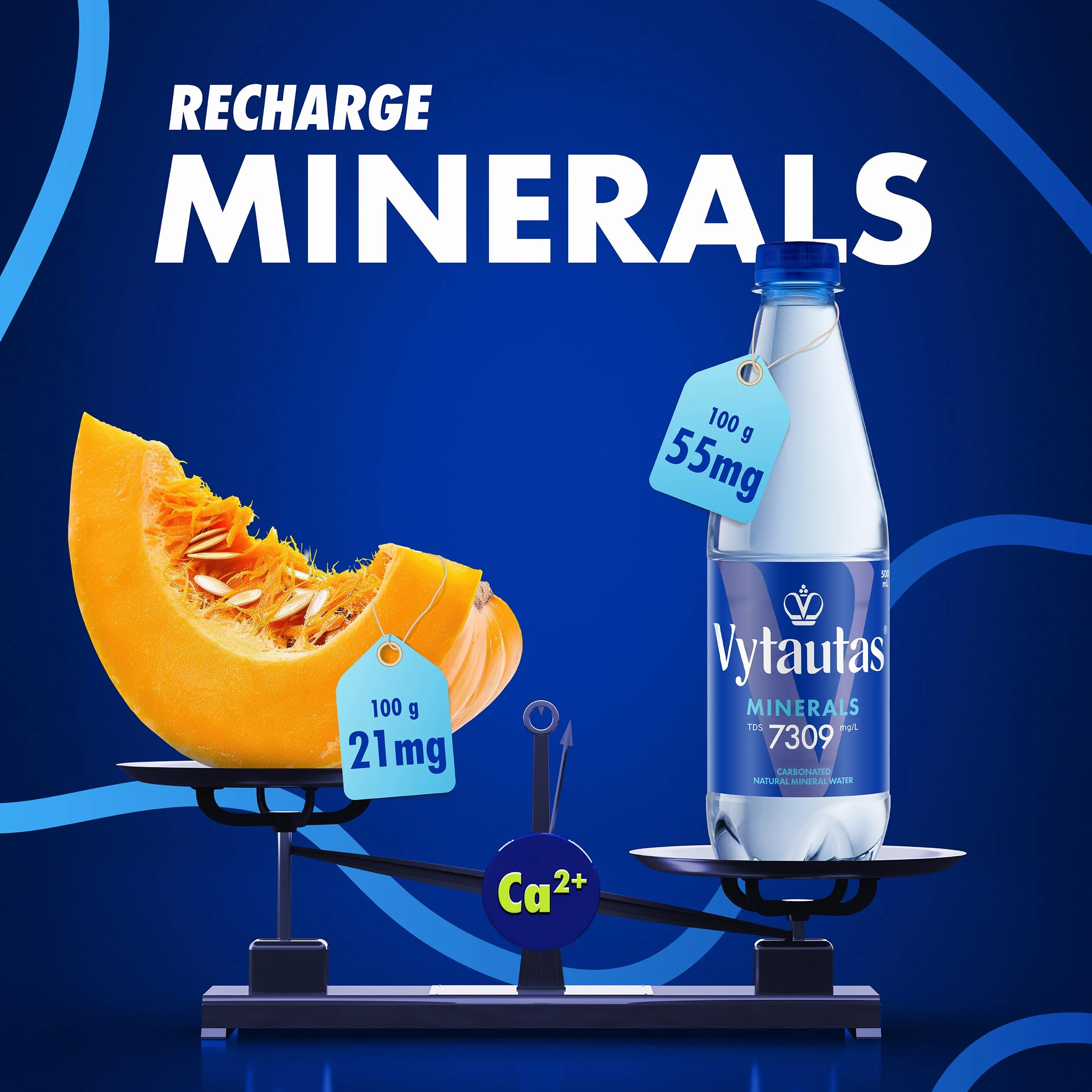Vytautas Acqua Minerale Naturale Frizzante Confezione da 12 da 500 ml per un'idratazione Massima Ricca di Minerali Essenziali come Calcio, Magnesio, un'acqua Funzionale con Elevata Mineralizzazione