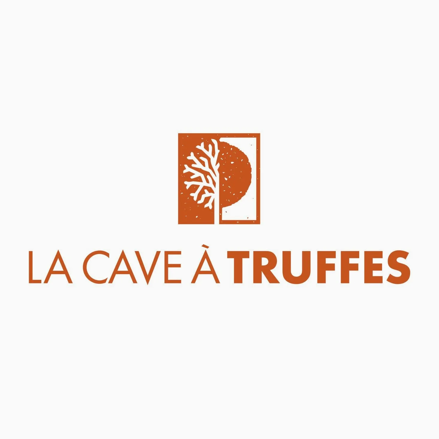 Specialità di olio di girasole al tartufo nero 1% - Bottiglia 250ml