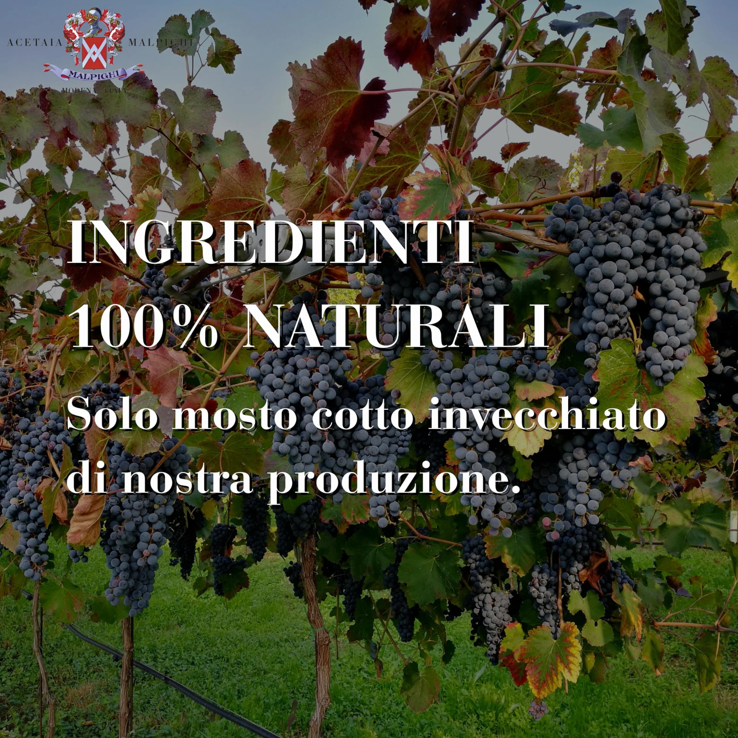 Aceto Balsamico Tradizionale di Modena DOP invecchiato 12 anni, 100ml, con Tappo dosatore e Ricettario