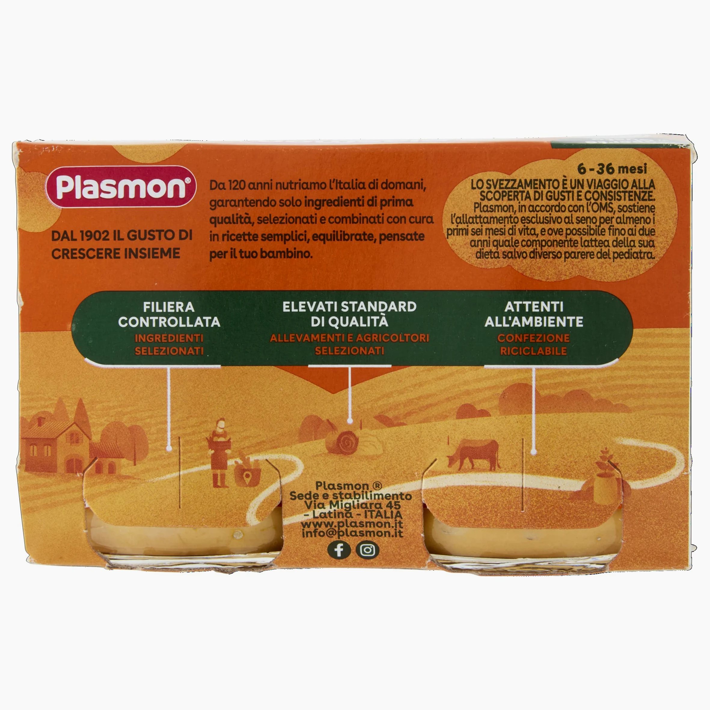 Plasmon Omogeneizzato Scoperte di Gusto Tacchino e Patate Dolci, 2x120g (12 Confezioni)