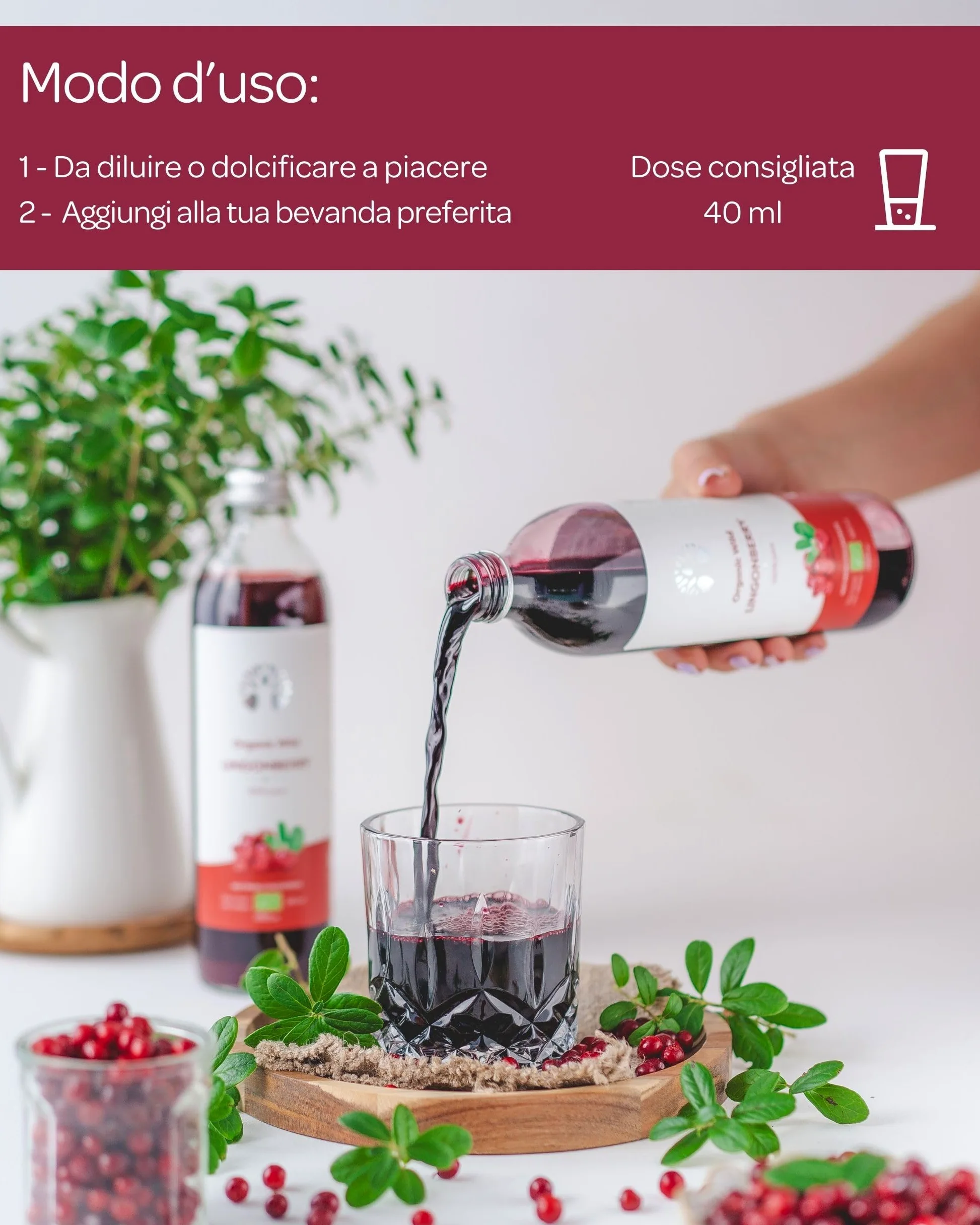 Succo di mirtillo rosso selvatico biologico LOOV – 100% puro, spremuto a freddo, senza zuccheri aggiunti – Sapore forte, non da concentrato – 6 x 500 ml in vetro
