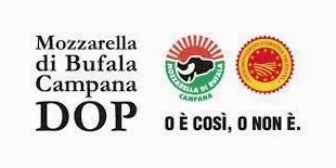 MOZZARELLA DI BUFALA DOP FIOR DI LATTE DA 1 Kg. LAVORAZIONE ARTIGIANALE PRODOTTO FATTO A MANO