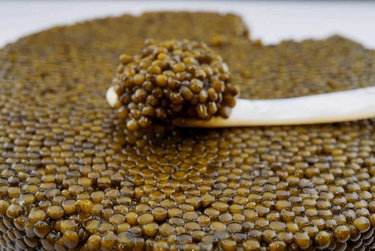 Imperial Caviar Selection (Beluga Hybrid Caviar) Allevamento CN – 125g