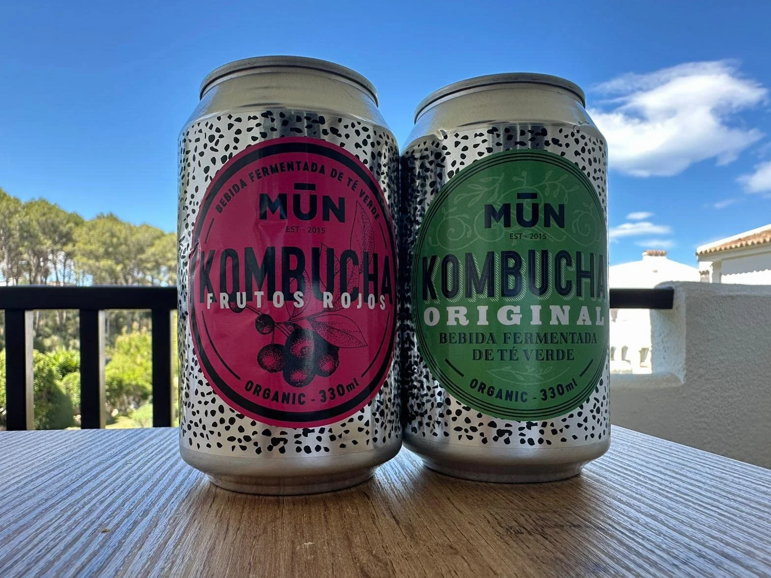MUN KOMBUCHA ORGANIC - Confezione Mix 12 x 330 ml | Tè Kombucha Biologico e Probiotico Naturale | Senza Zucchero e Basso Contenuto Calorico, Senza BPA | Rinfrescante e Digestivo