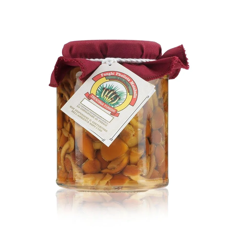 FUNGHI CHIODINI PHOLIOTA MUTABULIS 290 GR