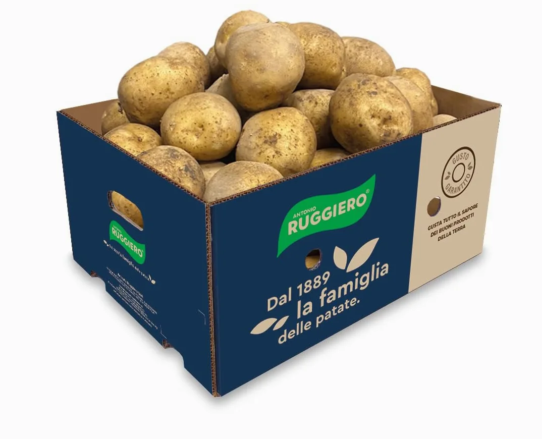 Patate RUGGIERO PER FRITTURE 2x20 KG