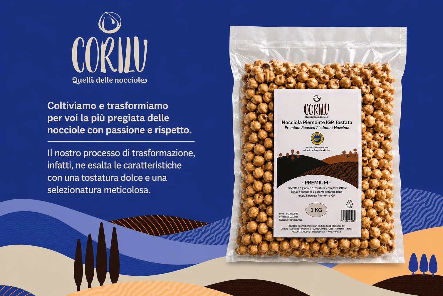 Corilu Nocciole Tostate Intere Piemonte IGP - Frutta Secca Snack Fonte di Fibre, Vitamine ed Antiossidanti - PREMIUM Nocciole Piemonte Igp Sgusciate Sacchetto Sottovuoto 1 kg