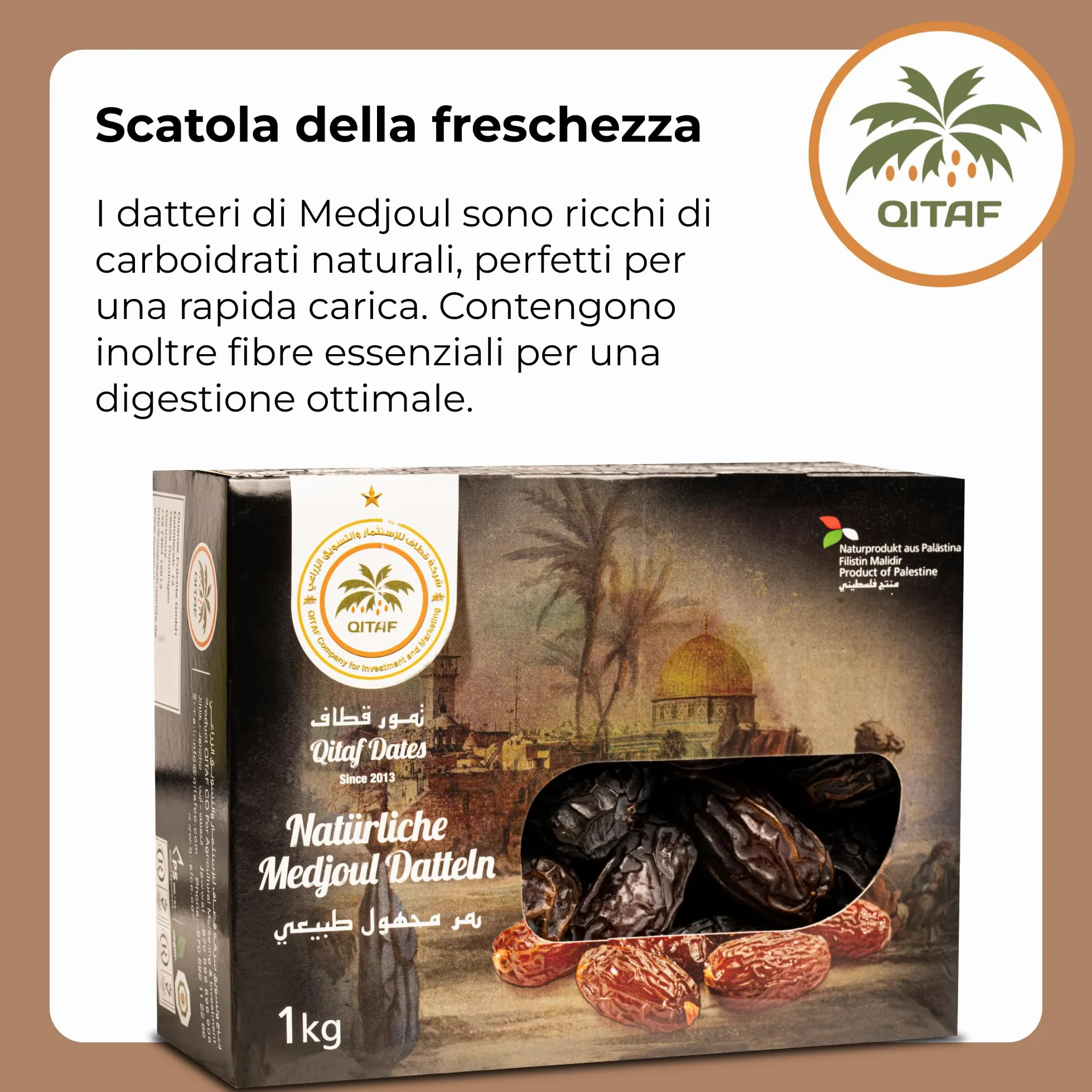 Datteri Medjoul Palestina [1Kg]. 100% Naturali E Dolci Frutta Secca Di Prima Scelta, Grande Calibro, Senza Zuccheri Aggiunti, Sapore Delizioso. Frutti Essiccati Lentamente – Dorimed