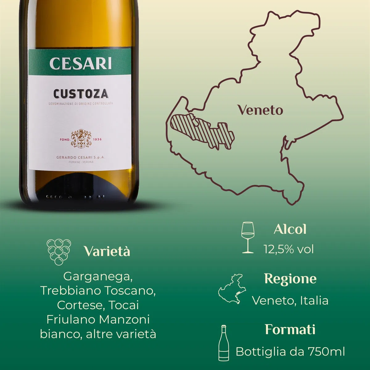 Cesari Custoza DOC - Vino Bianco dai Delicati Profumi di Frutta e Fiori Bianchi, Gusto Pieno e Leggermente Aromatico - 12,5% Vol - Bottiglia da 750 ml