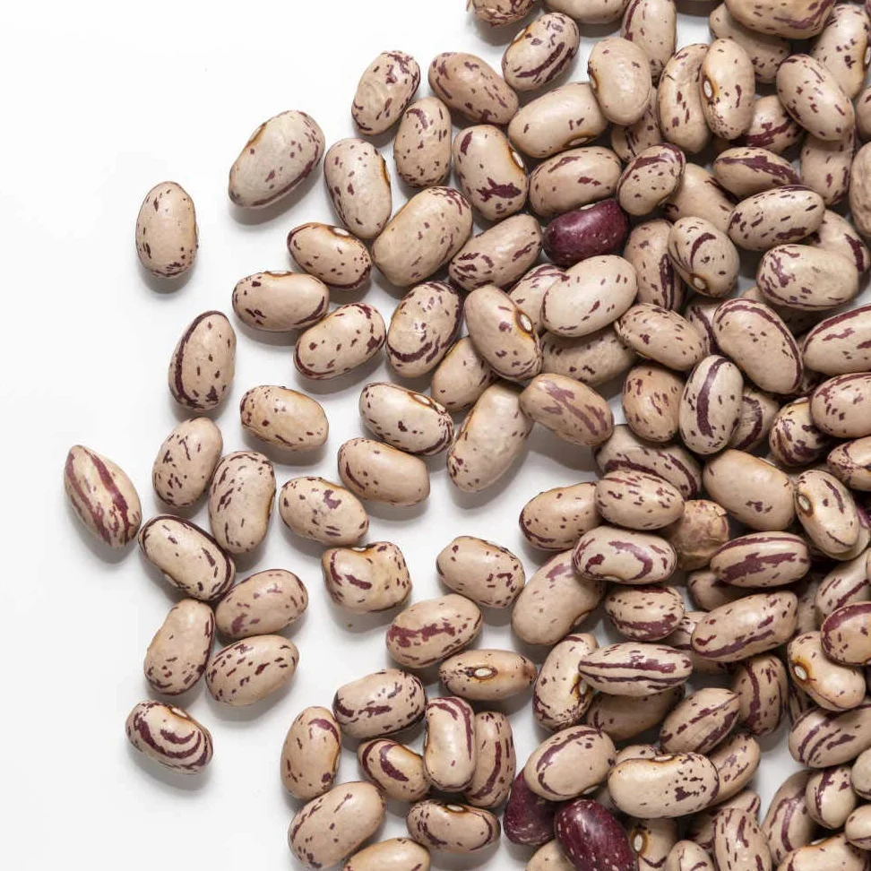 FAGIOLI BORLOTTI | Il Contadino | Legumi Secchi (20 Kg)
