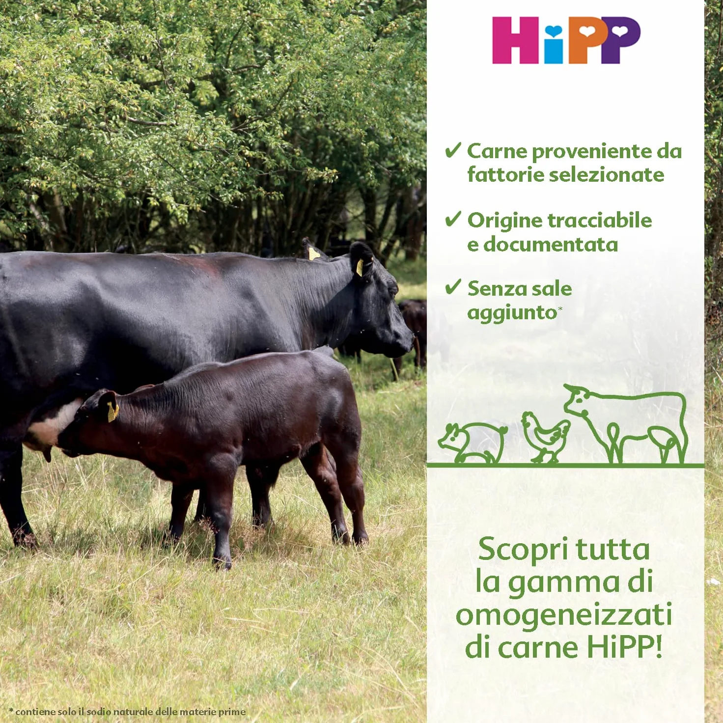 HiPP - Omogeneizzato di Carne per Neonati, Gusto Coniglio con Patate, Senza glutine, Senza Sali e Aromi Aggiunti, 24 Vasetti da 80 g