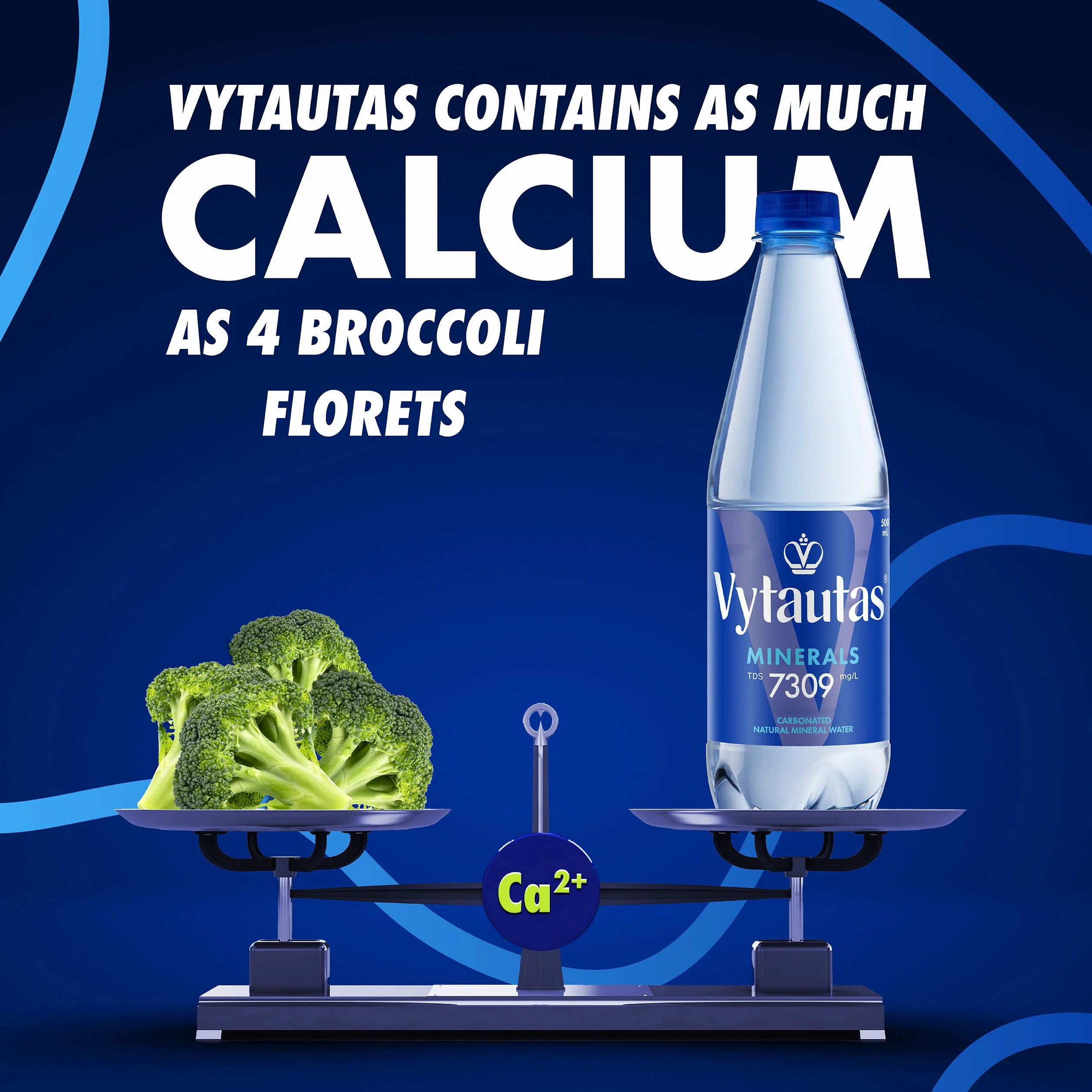 Vytautas Acqua Minerale Naturale Frizzante Confezione da 12 da 500 ml per un'idratazione Massima Ricca di Minerali Essenziali come Calcio, Magnesio, un'acqua Funzionale con Elevata Mineralizzazione