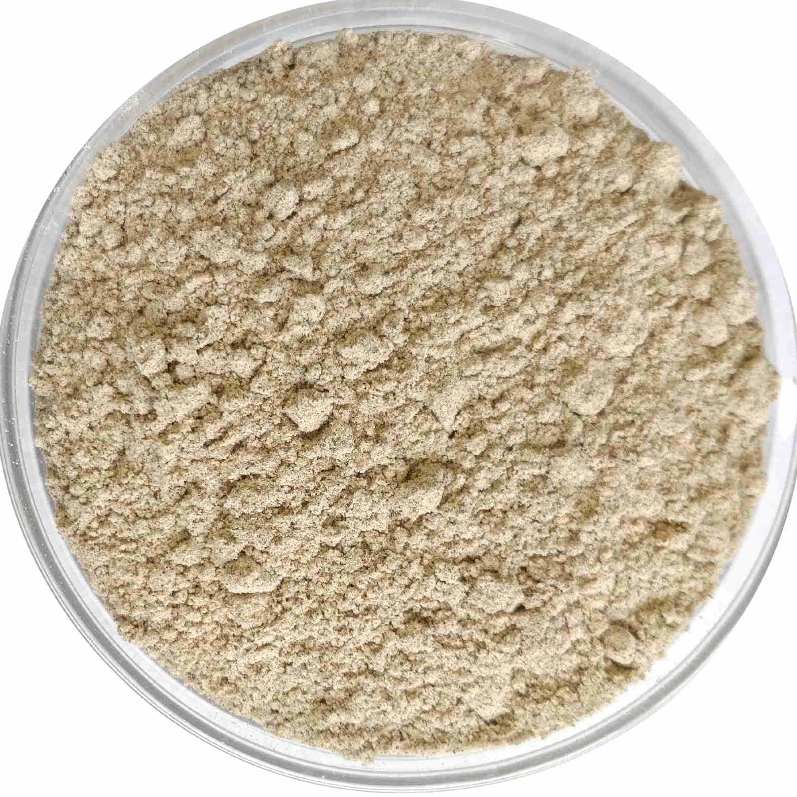 MILLET AMMA Farina Biologica Ragi (Finger Millet)- 2 Kg, Fatta Con Miglio Non Lucidato, Ricca Di Calcio, Fibre, Minerali E Aminoacidi, A Basso IG E Ottima Per Regolare I Livelli Di Zucchero,A Basso IG