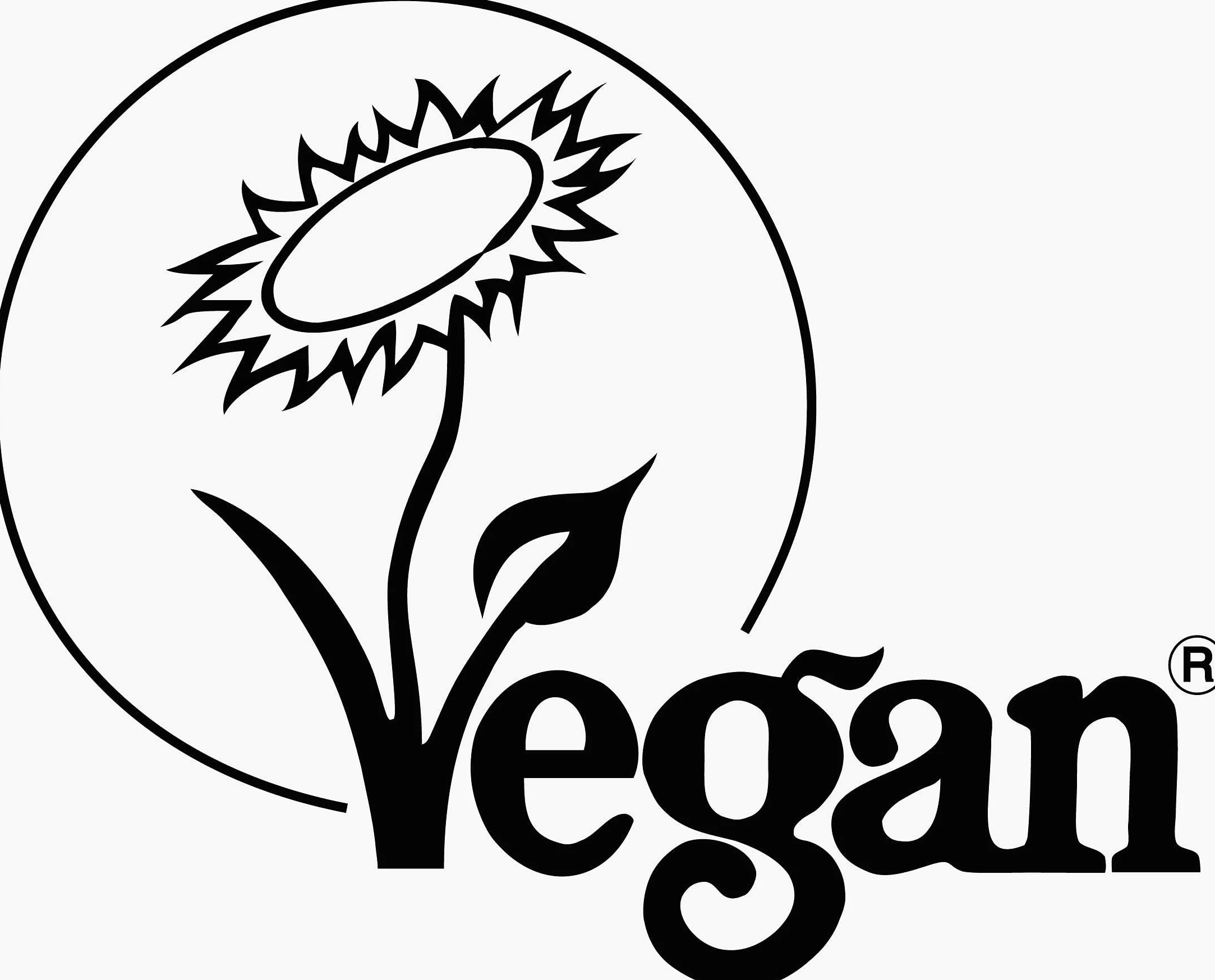 Semi di Chia Biologica 1kg Semi di Chia Neri Naturali Crudi Certificato Biologico Vegan Kosher Premium Chia Semi